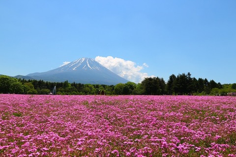 写真 2019-05-25 11 48 20