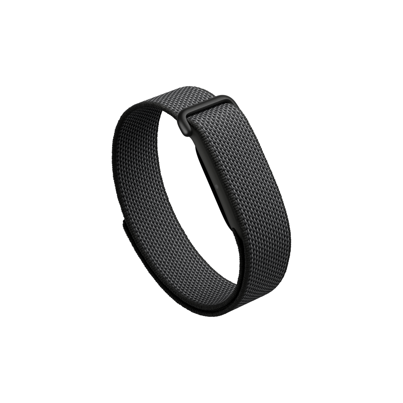Google Fitbit Air