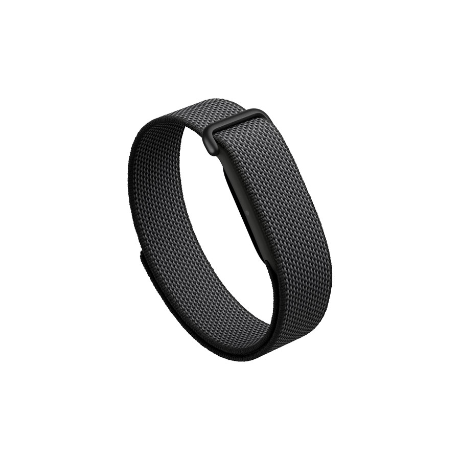 Google Fitbit Air