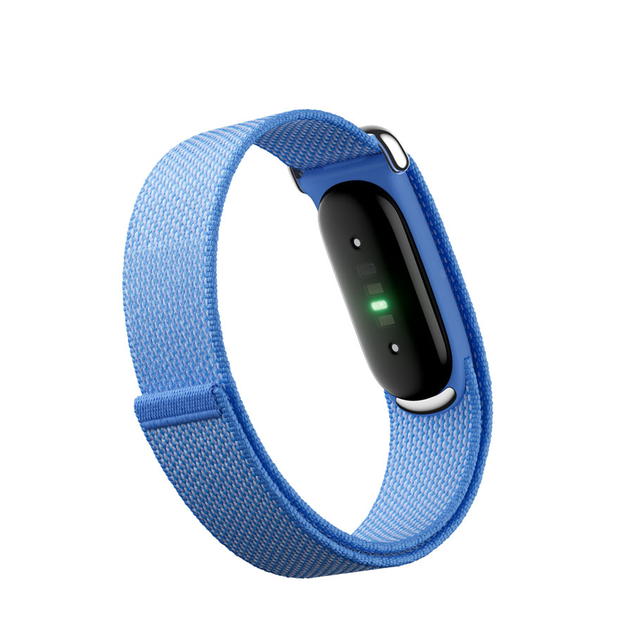 Google Fitbit Air